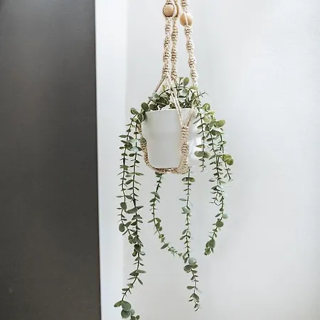 아파트 Kleine Koje 로스토크